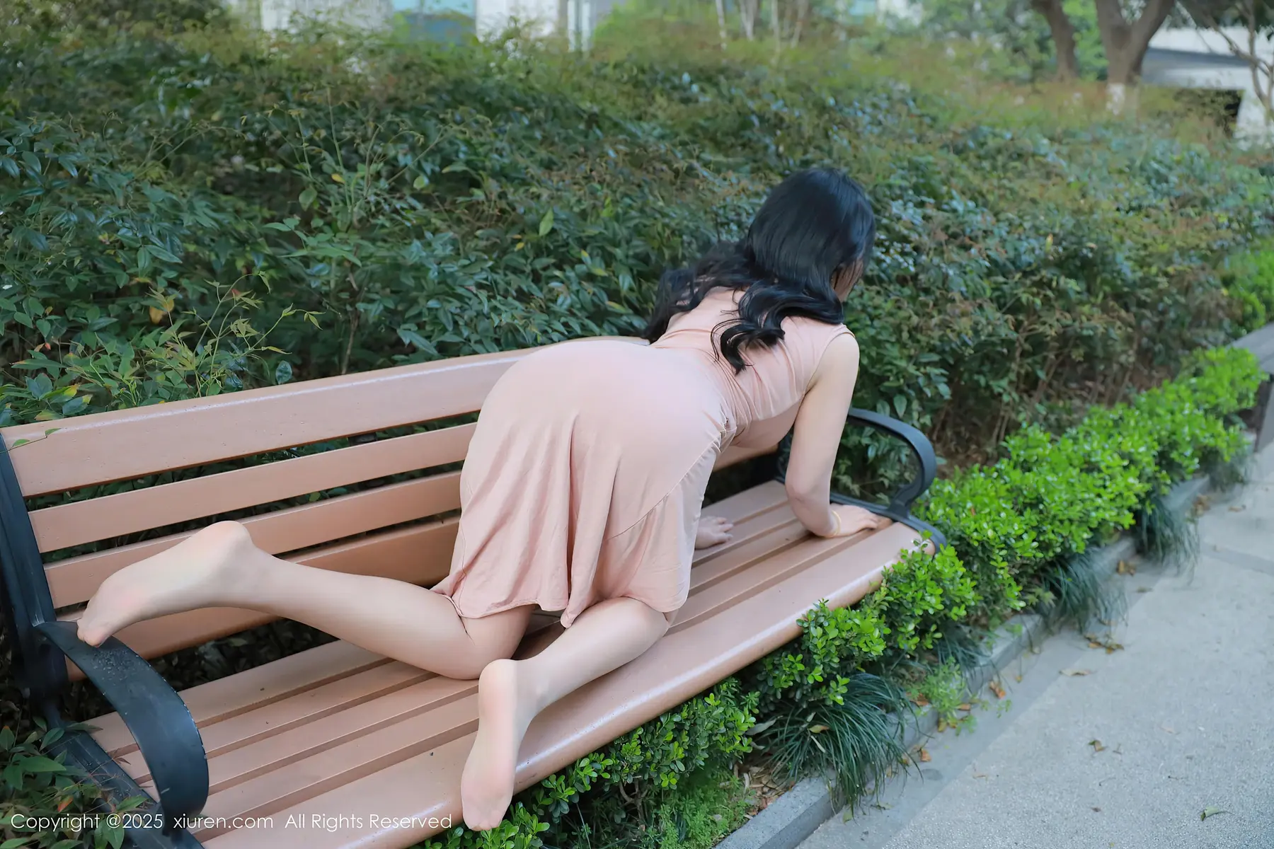 麦田_2485.webp